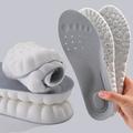 1 paire de semelles respirantes pour chaussures, bottes et baskets - 4D - 41/42