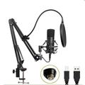 Microphone BM-700 avec bras réglable et filtre anti-pop pour les podcasts et le streaming