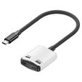 D0249 Adaptateur USB-C 2-en-1 pour lunettes de réalité augmentée et consoles de jeux - Noir / Blanc