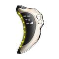 NY-S008 Masseur facial Gua Sha RF & EMS - LED 5 couleurs - Or
