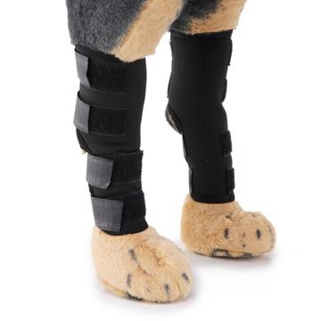 Genouillère pour animal de compagnie / Support de l\'articulation du jarret de la patte arrière du chien pour la récupération après une blessure - L