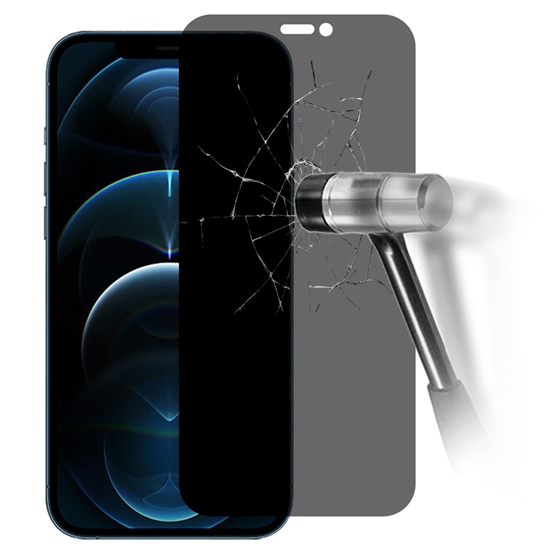 Écran de protection de confidentialité en verre trempé pour iPhone 12 Pro