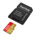 Carte mémoire SanDisk Extreme microSDXC SDSQXAV-256G-GN6MA - 256 Go