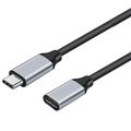 Câble d'extension USB-C 60W - 4K - 25cm