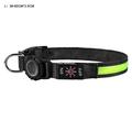Collier LED étanche pour chien avec Apple AirTag 1/2 Holder - Grand 38-60cm - Vert
